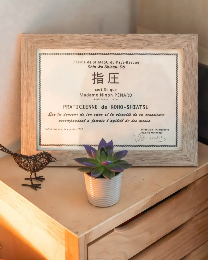 diplome spécialiste shiatsu